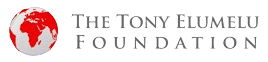 The Tony Elumelu Foundation